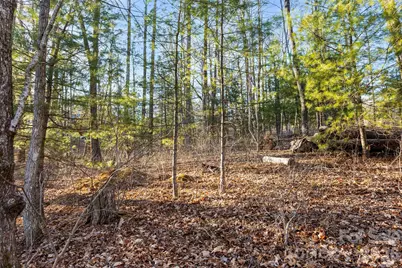 Lot 125 Thunder Mountain Road, Hendersonville, NC 28792 - Photo 10