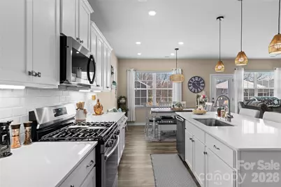 157 Pampas Place, Statesville, NC 28625 - Photo 16