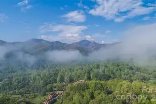 461 Ferguson Cove Loop, Clyde, NC 28721 - Photo 4