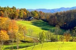 461 Ferguson Cove Loop, Clyde, NC 28721 - Photo 44