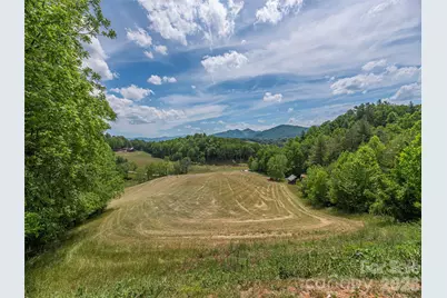461 Ferguson Cove Loop, Clyde, NC 28721 - Photo 4