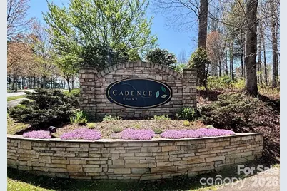 L 19 Cadence Circle #19, Brevard, NC 28712 - Photo 1