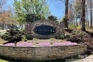 L 19 Cadence Circle, Brevard, NC 28712 - Photo 1