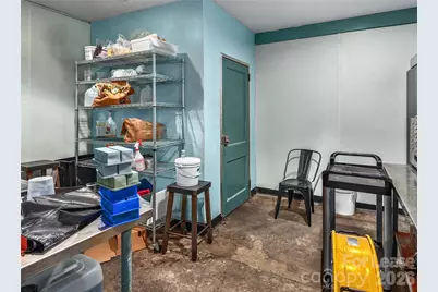 48 College Street, Asheville, NC 28801 - Photo 16