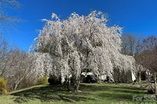 22 Stoney Nob Dr, Hendersonville, NC 28792 - Photo 40