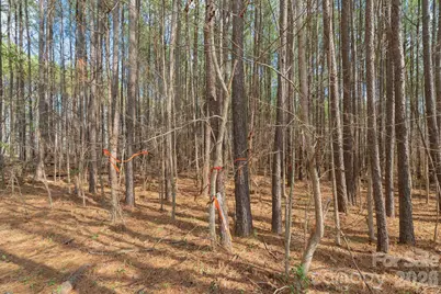 000 Horace Price Road, Pageland, SC 29728 - Photo 18