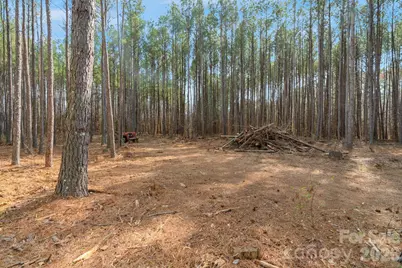 000 Horace Price Road, Pageland, SC 29728 - Photo 28
