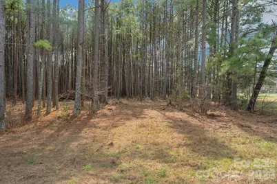 000 Horace Price Road, Pageland, SC 29728 - Photo 16