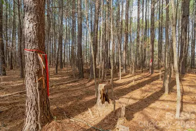000 Horace Price Road, Pageland, SC 29728 - Photo 24