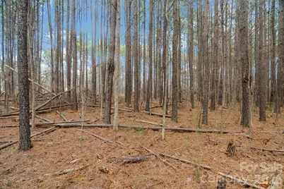 000 Horace Price Road, Pageland, SC 29728 - Photo 20