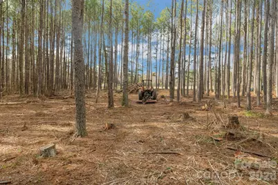 000 Horace Price Road, Pageland, SC 29728 - Photo 26