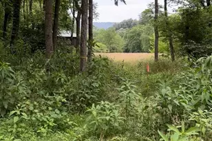 65 Owenby Rd, Candler, NC 28715 - Photo 48