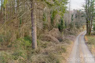 65 Owenby Rd, Candler, NC 28715 - Photo 46