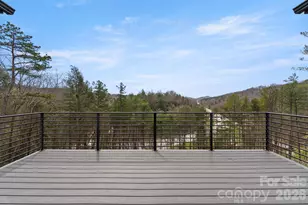 74 Jeranna Rd, Mills River, NC 28759 - Photo 36