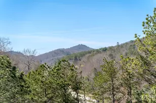 74 Jeranna Rd, Mills River, NC 28759 - Photo 32