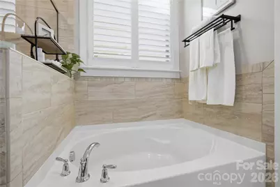 123 Johnson Manor Street, Mooresville, NC 28115 - Photo 20