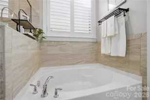 123 Johnson Manor St, Mooresville, NC 28115 - Photo 20