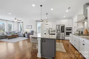 123 Johnson Manor St, Mooresville, NC 28115 - Photo 10