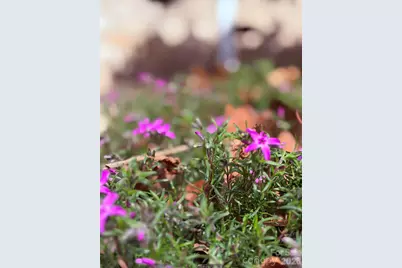 510 SE Stonecroft Court SE #32, Lenoir, NC 28645 - Photo 46