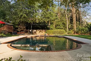 4501 Oglukian Rd, Charlotte, NC 28226 - Photo 44