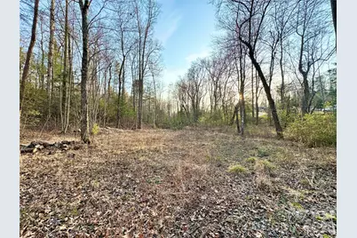 3306 Christie Road, Hudson, NC 28638 - Photo 28