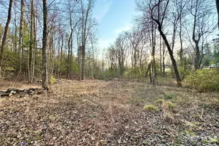 3306 Christie Rd, Hudson, NC 28638 - Photo 28