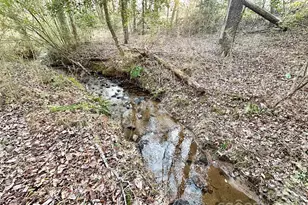 3306 Christie Rd, Hudson, NC 28638 - Photo 26