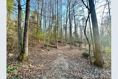 3306 Christie Road, Hudson, NC 28638 - Photo 30