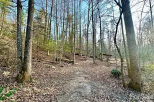 3306 Christie Rd, Hudson, NC 28638 - Photo 30