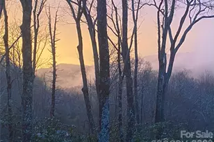 102 and 104 Carriage Dr, Fairview, NC 28730 - Photo 36