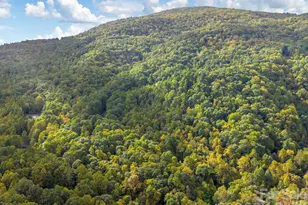 102 and 104 Carriage Dr, Fairview, NC 28730 - Photo 32