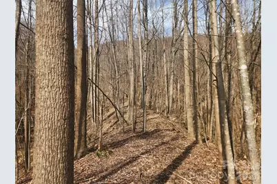 363 Center Church Road, Hiddenite, NC 28636 - Photo 8