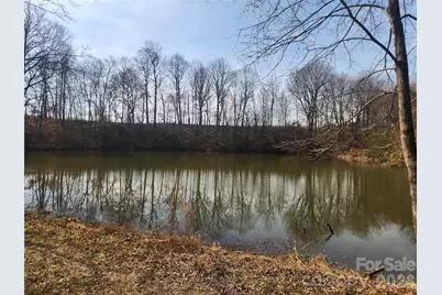 363 Center Church Road, Hiddenite, NC 28636 - Photo 44