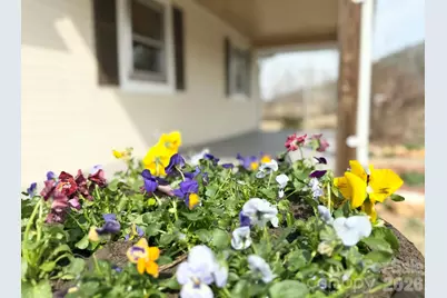 2742 Hwy 268 Highway, Lenoir, NC 28645 - Photo 6