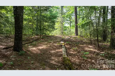2184 Pine Mountain Drive, Connelly Springs, NC 28612 - Photo 44