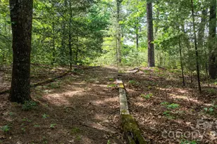 2184 Pine Mountain Dr, Connelly Springs, NC 28612 - Photo 44