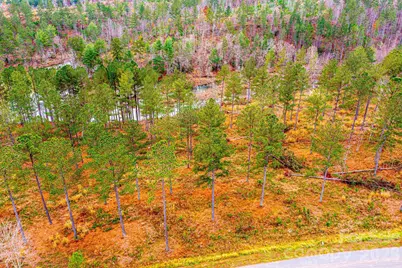 2188 Snowmass Drive, Connelly Springs, NC 28612 - Photo 4