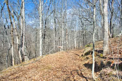 0 Cross Creek Drive #143, Rutherfordton, NC 28139 - Photo 2