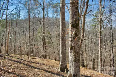 0 Cross Creek Drive #143, Rutherfordton, NC 28139 - Photo 1