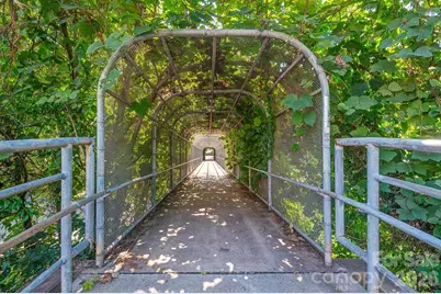 99999 Hazzard Street #17, Asheville, NC 28801 - Photo 6