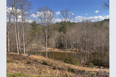542 Allen Mountain Lane, Spruce Pine, NC 28777 - Photo 16