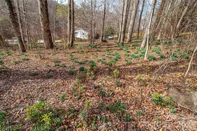 356 Pleasant Hill Drive, Brevard, NC 28712 - Photo 34
