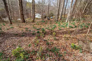 356 Pleasant Hill Dr, Brevard, NC 28712 - Photo 34