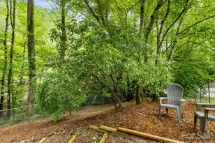 1 Laurel Forest Dr, Horse Shoe, NC 28742 - Photo 28