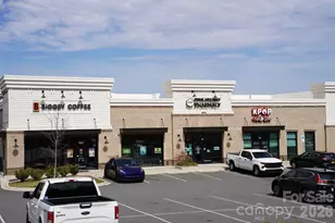 4029 Spring Garden St, Fort Mill, SC 29715 - Photo 48