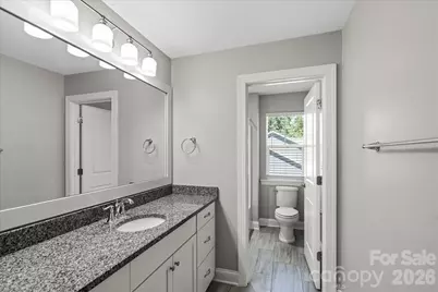 4243 Island Fox Lane, Denver, NC 28037 - Photo 38