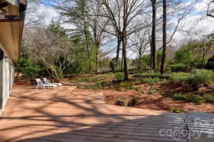 8509 Waters Point Ct, Charlotte, NC 28277 - Photo 36