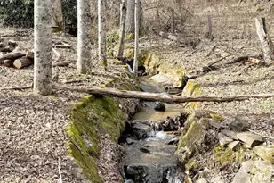 122 Vinewood Dr, Waynesville, NC 28786 - Photo 44