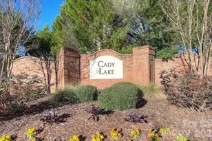 11143 Knight Castle Dr, Charlotte, NC 28277 - Photo 48