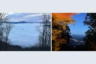 188 Bear Track Trail, Maggie Valley, NC 28751 - Photo 4